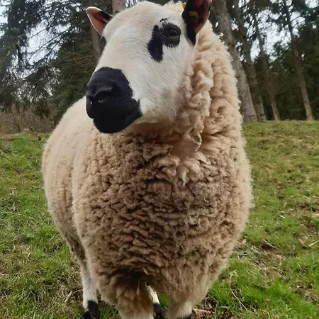 Strunks Ahl Haeusje Prázdninový dům *