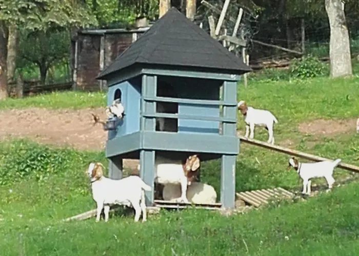 Strunks Ahl Haeusje *